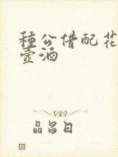 种公借配花间一壶酒封面