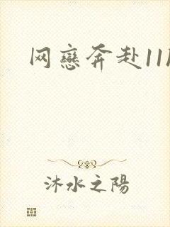 网恋奔赴11h