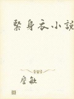 紧身衣小说封面