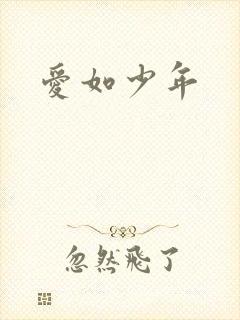 爱如少年