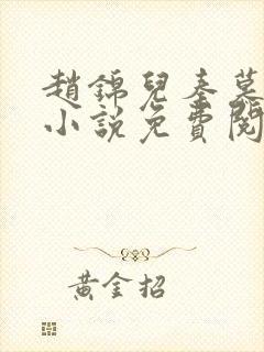 赵锦儿秦慕修的小说免费阅读全文