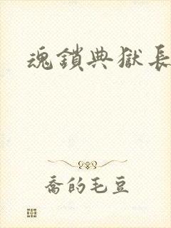 魂锁典狱长封面