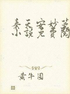 秦天安妙菱修仙小说免费阅读正版封面