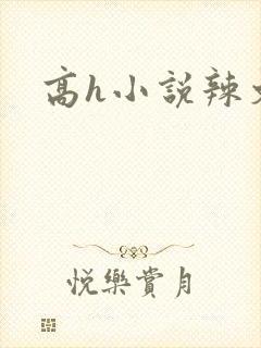 高h小说辣文