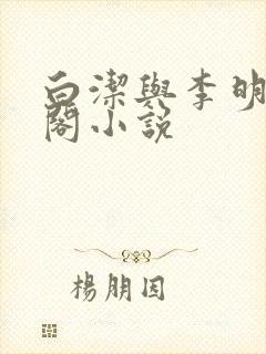 白洁与李明笔趣阁小说封面