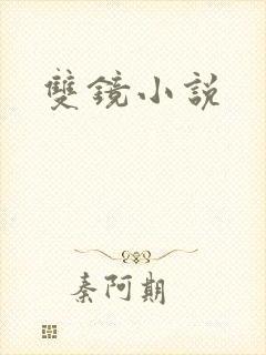 双镜小说