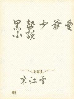 黑帮少爷爱上我小说
