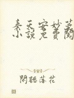 秦天安妙菱修仙小说免费阅读正版封面