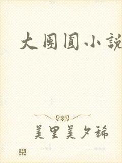 大团圆小说
