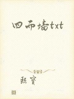 四面墙txt封面