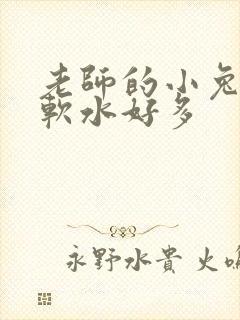 老师的小兔子好软水好多