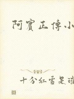 阿宾正传小说
