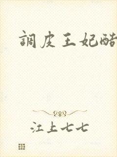 调皮王妃酷王爷