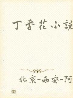 丁香花小说