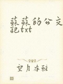 苏苏的公交车日记txt
