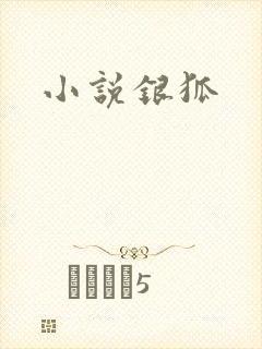 小说银狐封面