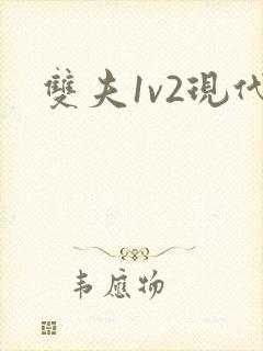 双夫1v2现代