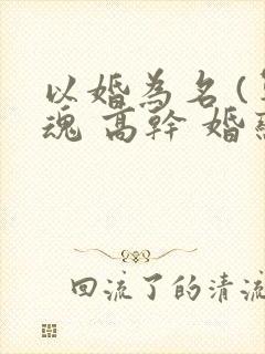 以婚为名 (军魂 高干 婚恋)
