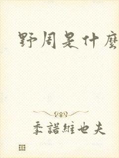 野周是什么意思封面