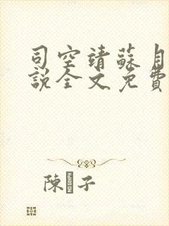 司空靖苏月汐小说全文免费阅读