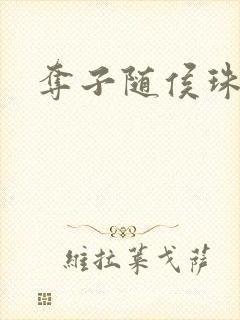 夺子随侯珠