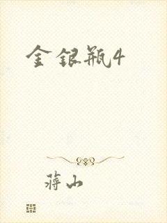 金银瓶4封面