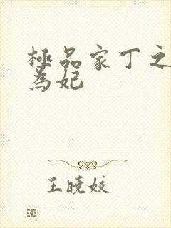极品家丁之册母为妃封面