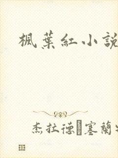 枫叶红小说