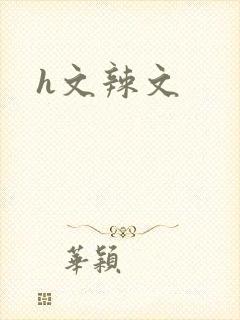 h文辣文封面