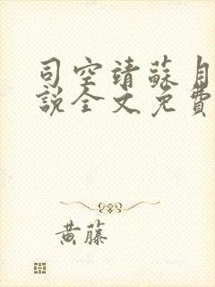 司空靖苏月汐小说全文免费阅读