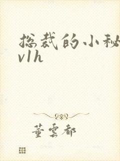 总裁的小秘书1v1h