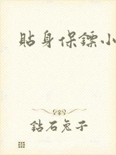 贴身保镖小说
