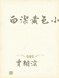 白洁黄色小说封面