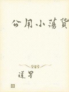 公用小荡货芊芊封面
