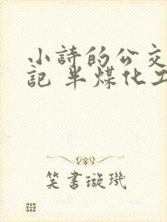 小诗的公交车日记 半煤化工