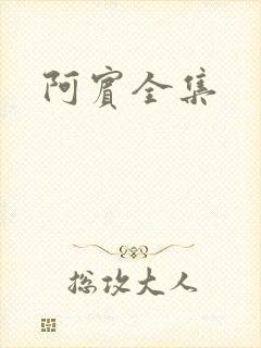 阿宾全集