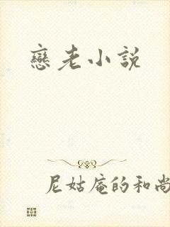恋老小说封面