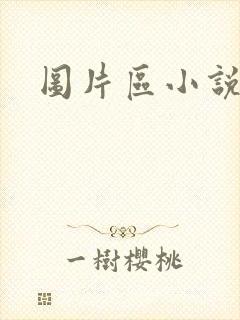 图片区小说区