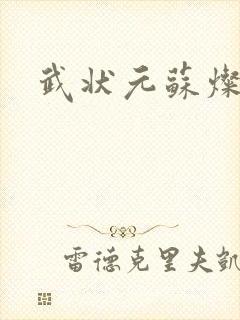 武状元苏灿