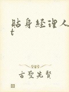 贴身经理人txt
