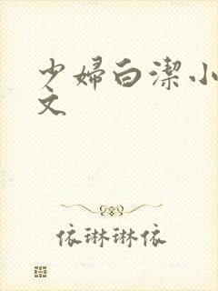 少妇白洁小说全文封面