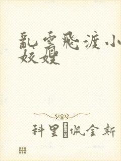 乱云飞渡小说之姣嫂