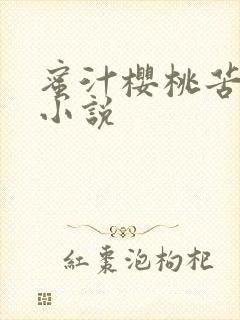 蜜汁樱桃苦咖啡小说