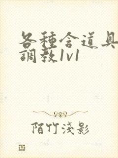 各种含道具高h调教1v1