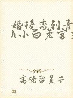 婚后脔到青梅哭h小白兔宫交h