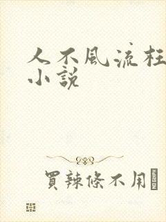 人不风流枉少年小说