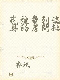 我被带到满是玩具的房间挑调作文