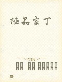 极品家丁封面