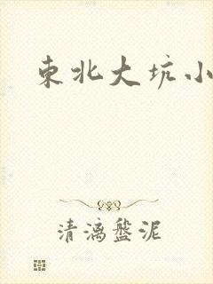 东北大坑小说