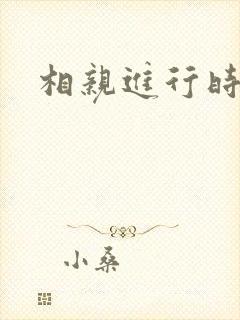 相亲进行时